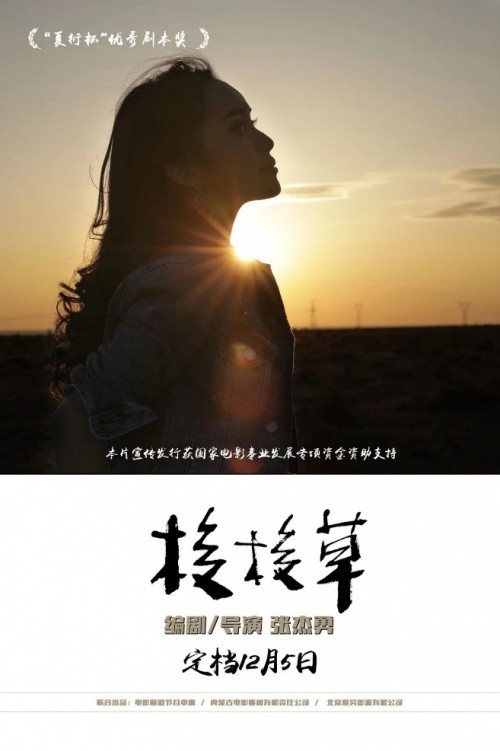 电影《梭梭草》定档12月5日 新生代小花联袂出演 (http://www.zjmmc.cn/) 娱乐 第3张