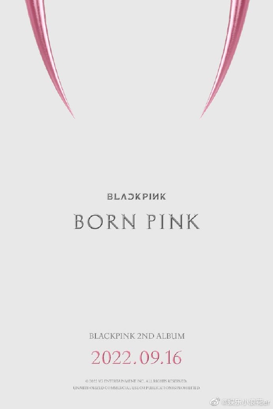 BLACKPINK将于9月16日回归 8月19日发布先行曲 (http://www.lingxun.net.cn/) 娱乐 第1张