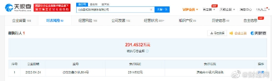 山东影视被强制执行231万 系《欢乐颂》等出品方 (http://www.cstr.net.cn/) 娱乐 第1张