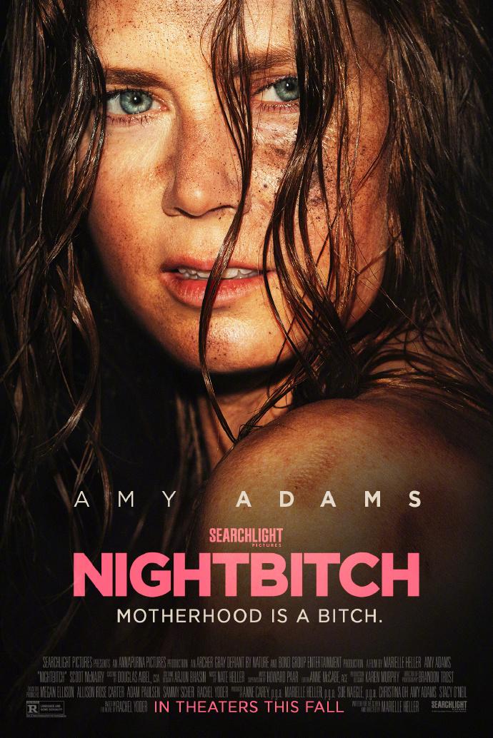 《夜色女人》发布海报 艾米·亚当斯探索母性